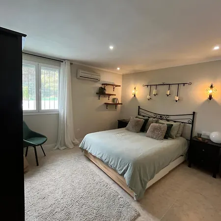 Ruperto - Calpe's Mini *