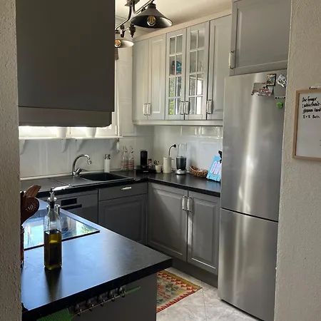 Ruperto - Calpe's Mini * Calp