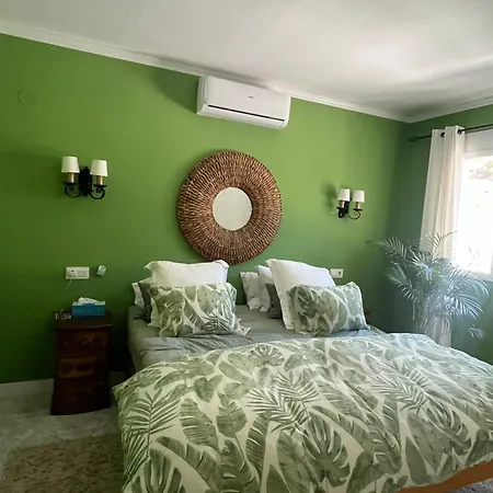 Ruperto - Calpe's Mini * קלפה